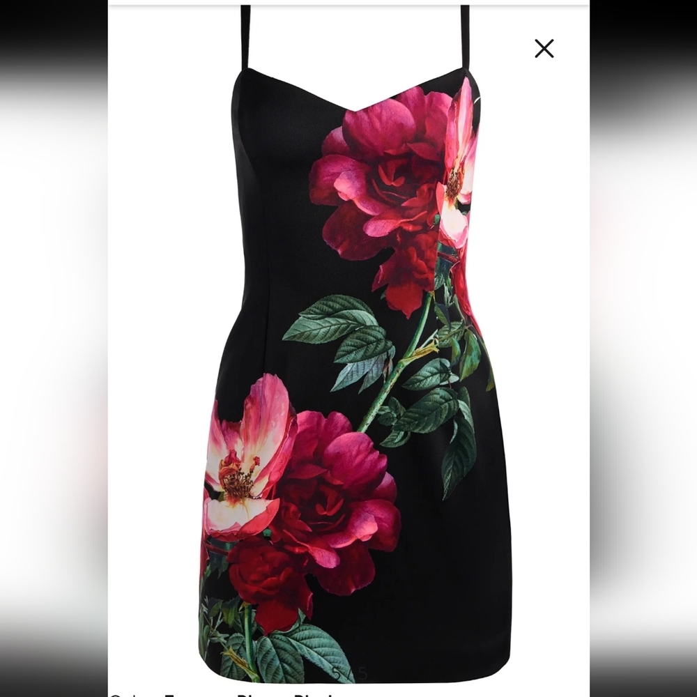 ALICE+OLIVIA NINA PLACED FLORAL MINIDRESS;SIZE:O - Picture 12 of 13